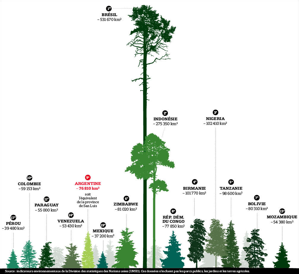 classement pays deforestation