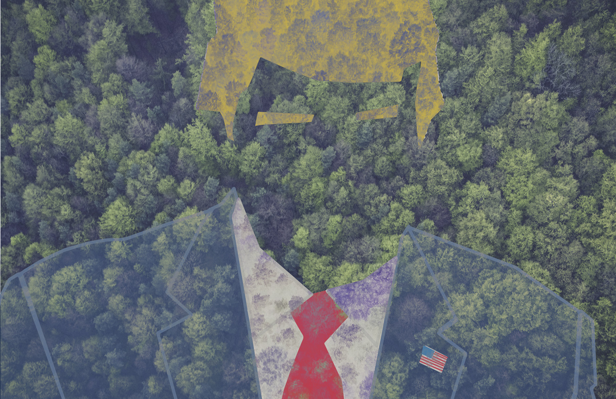 trump forest