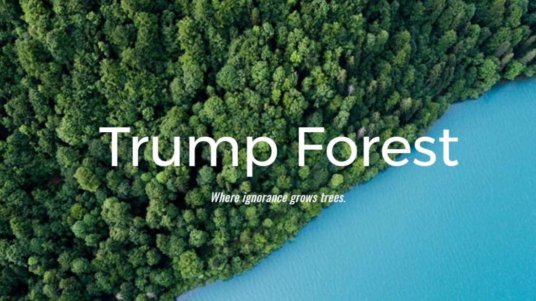 Trump Forest trump forest