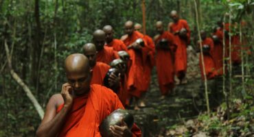 moines deforestation thailande