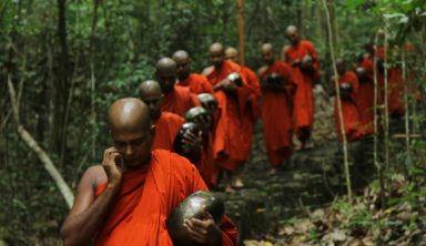 moines deforestation thailande