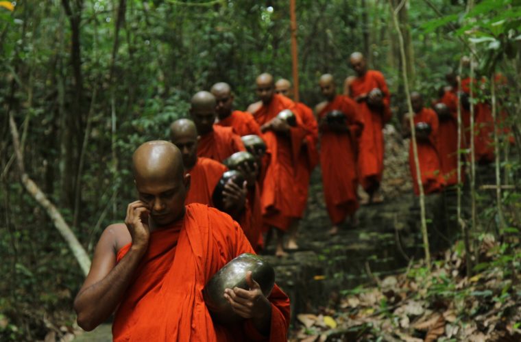 Des arbres ordonnés moines Monk-forest-SadahamYathra-760x500