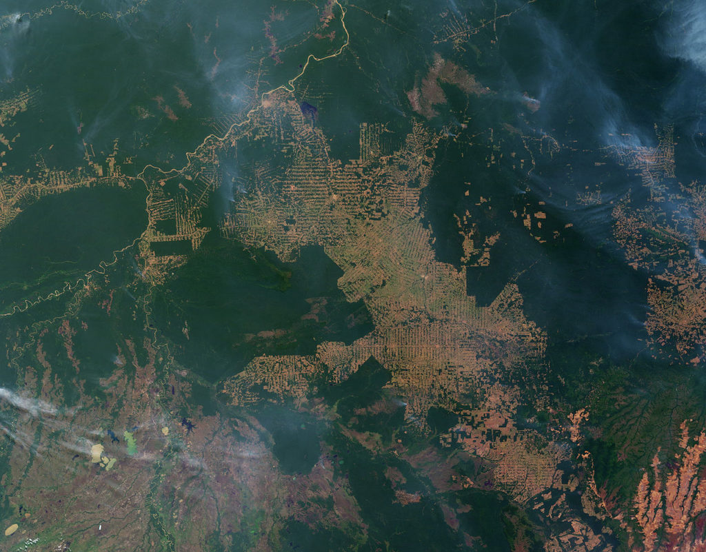 image satellite deforestation brésilienne