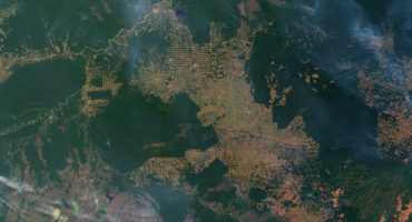 image satellite deforestation brésilienne