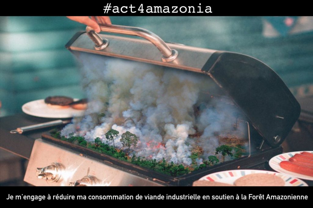 #act4amazonia