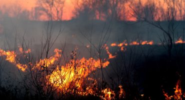 incendies amazonie