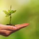 planter arbres changements climatiques